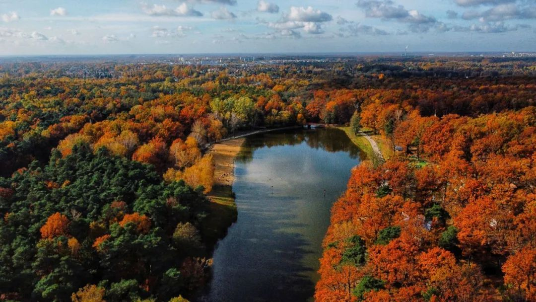 秋天的波兰 - 简称『秋波』